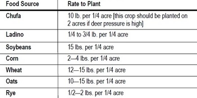Food Plots for Turkey: Seeds and Planting Rates
